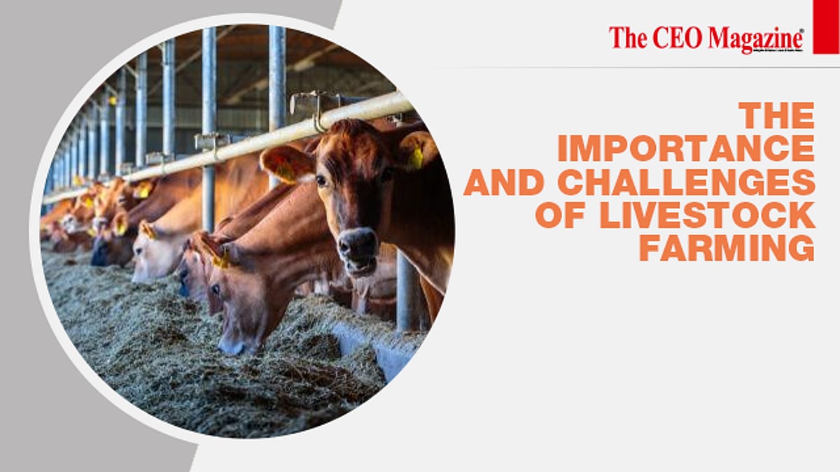 The Importance And Challenges Of Livestock Farming the-importance-and-challenges-of-livestock-farming