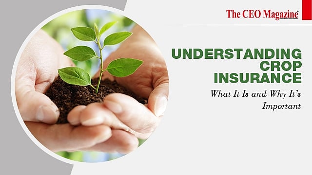 Crop Insurance