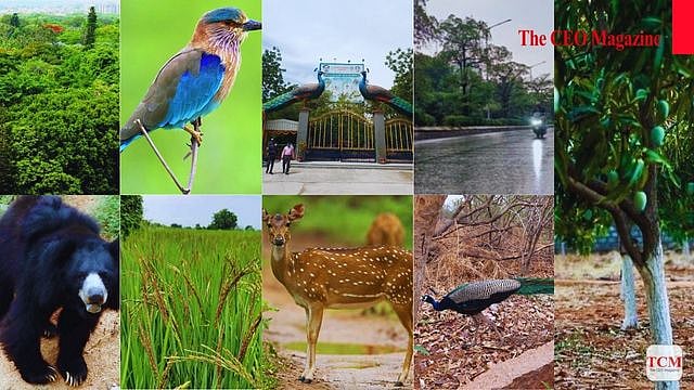 Pitlam Telangana: History, Nature, Culture