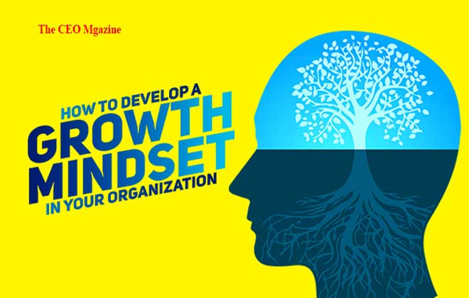 How to Develop a Growth Mindset in Your Organization