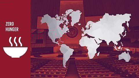 Ten years after the General Assembly resolved for 'Zero Hunger', where does India and the rest of the world stand?