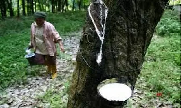 import of rubber in india