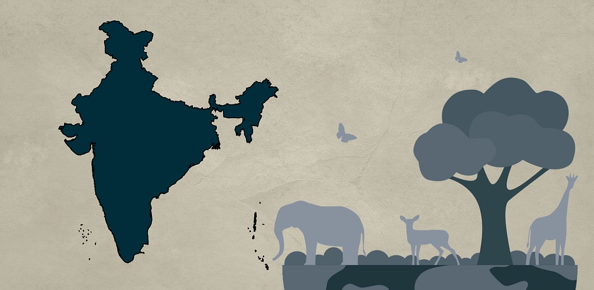 The Wild Life (Protection) Amendment Bill, 2022 is a regressive step in ...