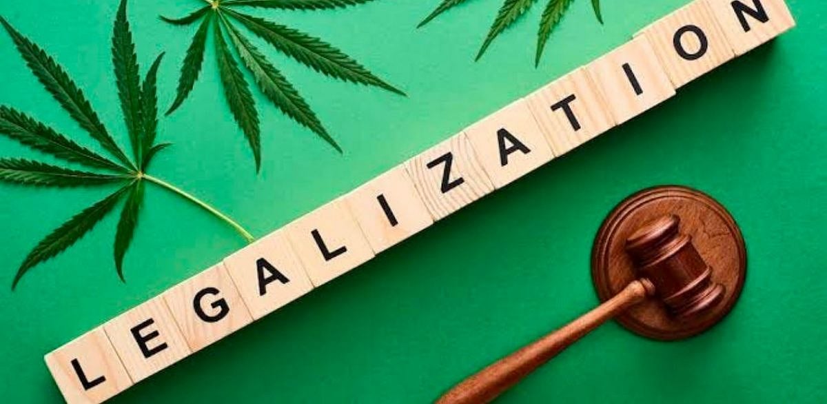 It is high time we legalise and regulate cannabis in India
