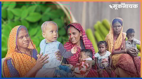 Ground Report: हरदा में मोरिंगा पाउडर से कुपोषण पर जीत, 90 दिनों में दौड़ने लगे बच्चे! 