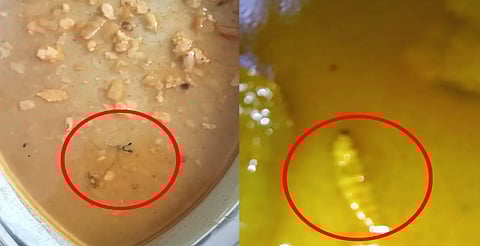 डूंगरपुर में आदिवासी बालिकाएं सड़ा-गला खाना खाने को मजबूर, बाप सांसद ने TAD मंत्री को कहा- "धर्म का चूर्ण खाकर सोये मत रहो..."