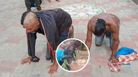 Two Dalit Men Brutally Assaulted, Forced to Eat Grass and Drainage Water in Odisha’s Ganjam District