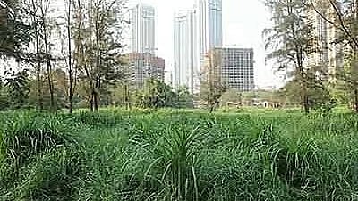 आरे के आदिवासी गांवों का विरोध: उजासी नोटिस पर हंगामा, वन अधिकार कानून की अनदेखी?