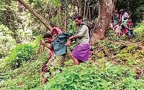 गंभीर बुखार से पीड़ित 64 वर्षीय मलयप्पन को उनके साथी आदिवासियों ने 6 किलोमीटर तक जंगल के रास्ते हाथों में उठाकर अस्पताल पहुंचाया, जिससे उनकी जान बच सकी।