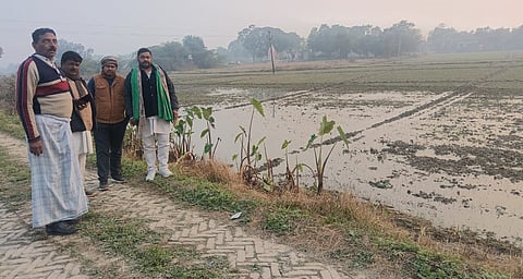 आजमगढ़ के पेडरा में नहर ओवरफ्लो से सैकड़ों बीघा गेहूं की फसल जलमग्न।