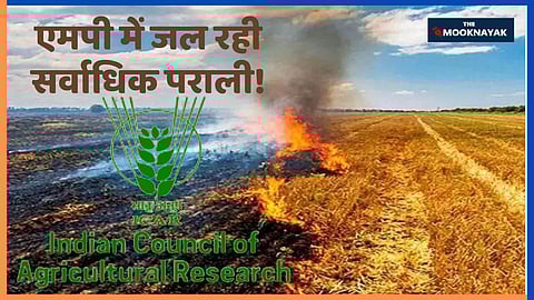 TM special मध्य प्रदेश में पराली जलाने के मामले रिकॉर्ड स्तर पर, देश में पहले स्थान पर पहुंचा राज्य, जानिए कैसे निर्मित हुई यह स्थिति?