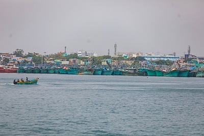Fishing leaders reported that each boat brought back around four tonnes of high-value catch, drawing traders from nearby districts and even neighbouring states. 