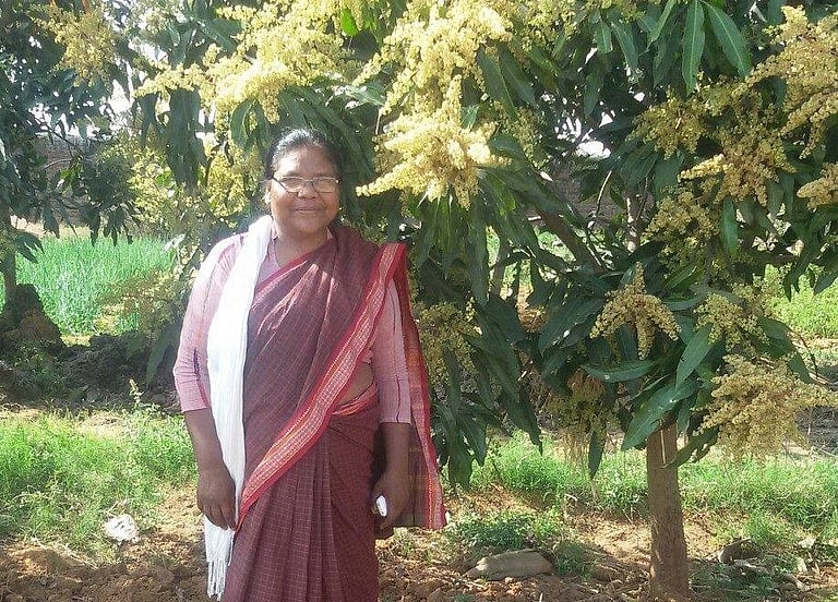 Iron Lady of Jharkhand: The Story of Dayamani Barla's Activism and ...