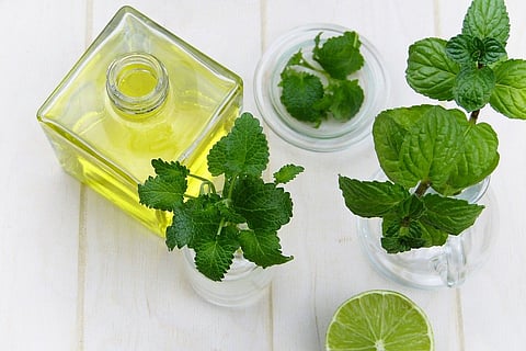 AYUSH Ministry Inks MoU With Industry Bodies To Promote Medicinal Plants Cultivation
