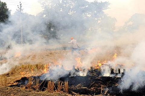 पराली समस्या का समाधान देने की जगह किसानों के साथ गुंडों जैसा व्यवहार कर रही है योगी सरकार: आप
