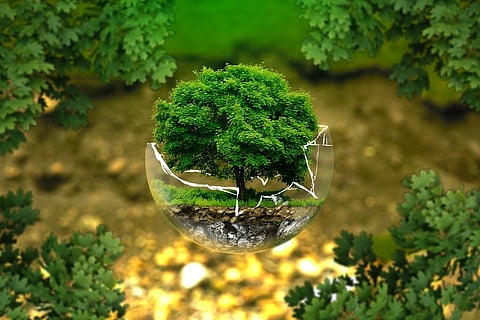 For Sustainable Development, A Radical Shift Required In The Way We See And Treat Nature 
