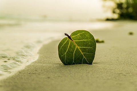 Relax Into Your Ordinariness

