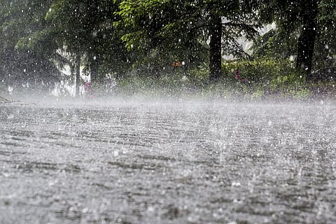 Heavy Rains In UP: Yogi Reviews Crop Loss, Damage To Houses, Loss Of Lives  