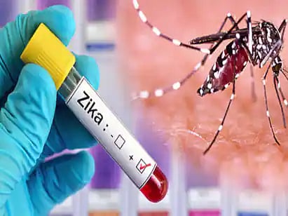 Zika Virus Patient In Kanpur Stable, Team Of Epidemiologists Dispatched By Union Government In City