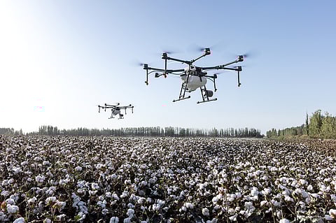 Government To Promote Drone Use In Agriculture,  Rs 10 Lakhs To Agri Institutes For Their Purchase 
