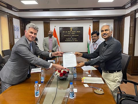 Indian Banana, Baby Corn Get Market Access In Canada