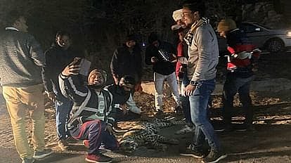 Leopard Dies In Sonbhadra After Being Hit By A Speeding Vehicle, Passers-by Take Selfies With The Body