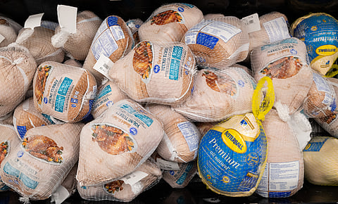 India Agrees To Cut Tariffs On US Frozen Turkey, Duck