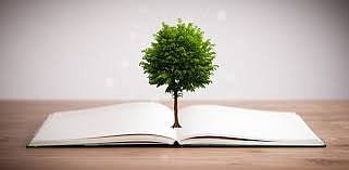 The Illusion Of Greenery: Paper Trees And Ground Reality 