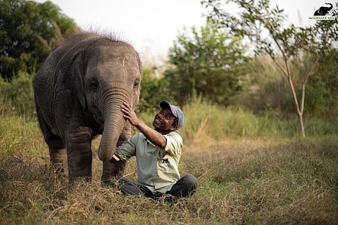 A Year Of Hope: Baby Elephant Injured In Train Accident Makes A Miraculous Recovery At Wildlife SoS