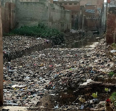 यमुना संरक्षण के लिए आगरा, मथुरा और वृंदावन में गाद और मलबे की सफ़ाई ज़रूरी  