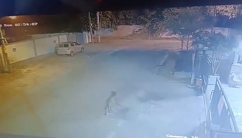 CCTV footage showing leopard roaming in the residential area
