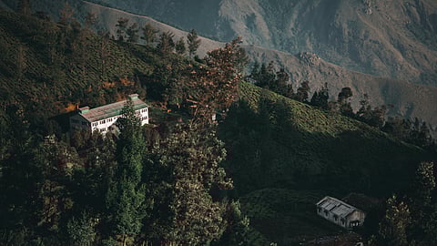 A Solo Traveler's Guide to Munnar