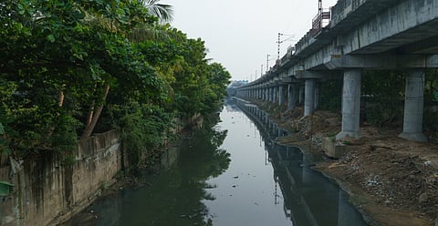 A part of the Buckingham Canal.