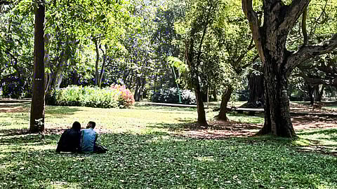 Two individuals seated on the grass in Bengaluru’s Cubbon Park, enjoying a peaceful moment amidst nature.