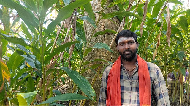 Gambling with groundwater: In Idukki, cardamom farming turns unsustainable 3 A man in a chequered shirt and a saffron scarf standing in the midst of cardamom crop