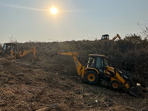 Kancha Gachibowli land row: Telangana forms 3-member ministerial group to resolve issue
