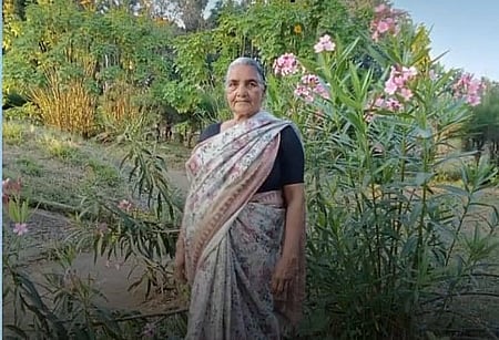 Elderly woman trampled to death by wild elephant in TN, another woman injured