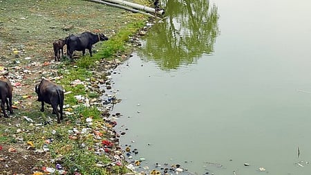 TN Coastal authority fines NHAI for dumping excavated material in Odiyur lagoon

