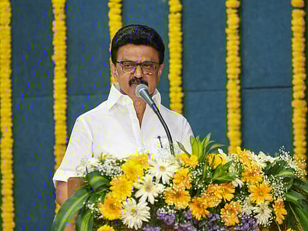 CM Stalin to lay foundation stone for Rs 1,800 cr Adyar river restoration project in September