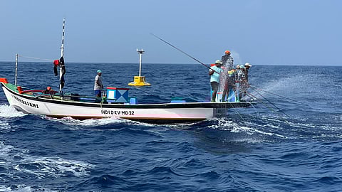 Lakshadweep’s sustainable pole-and-line fishing faces new export challenges