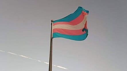 ‘Vague, unambitious, exclusionary’: Trans rights groups critique TN transgender policy
