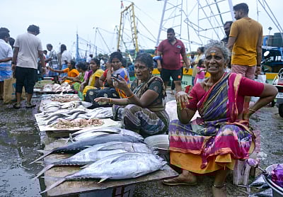 GST rate cut across fisheries value chain to boost India’s Blue Economy: Government 