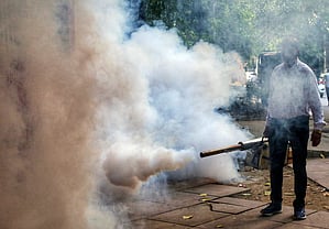 Dengue cases rise in TN's Krishnagiri, government steps up preventive measures