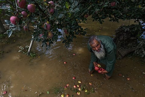 Old wounds reopened by new floods