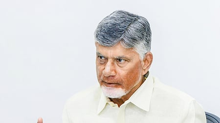 Andhra Pradesh Chief Minister N. Chandrababu Naidu
