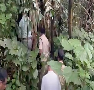 Dharmasthala case: SIT combs through Banglegudde forest again
