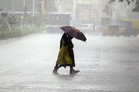 Heavy rain likely in six Tamil Nadu districts today, IMD issues warning
