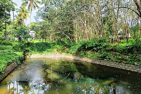 A pond in Thiruvananthapuram from where a boy was infected with amoebic encephalitis