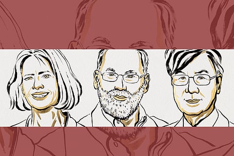 Nobel prize awarded for discovery of immune system’s ‘security guards’