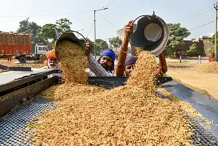 Union govt's expert teams to check moisture levels of paddy in Tamil Nadu